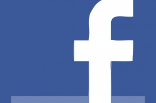 facebook social reputation CV