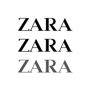 Curriculum per Zara